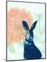 Pink Waratah and Blue Rabbit-Trudy Rice-Mounted Art Print