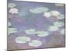 Pink water lilies, Claude Monet, 1897-1899 (oil on canvas)-Claude Monet-Mounted Giclee Print