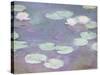 Pink water lilies, Claude Monet, 1897-1899 (oil on canvas)-Claude Monet-Stretched Canvas