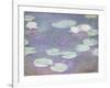 Pink water lilies, Claude Monet, 1897-1899 (oil on canvas)-Claude Monet-Framed Premium Giclee Print