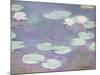 Pink water lilies, Claude Monet, 1897-1899 (oil on canvas)-Claude Monet-Mounted Premium Giclee Print