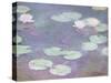 Pink water lilies, Claude Monet, 1897-1899 (oil on canvas)-Claude Monet-Stretched Canvas