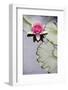 Pink Water Lily in Pond-Martin Child-Framed Photographic Print