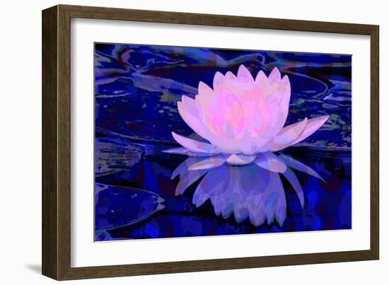 Pink Water Lily-Scott J. Davis-Framed Giclee Print