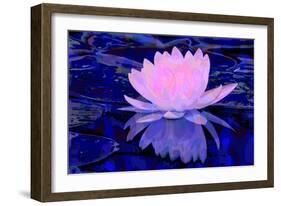 Pink Water Lily-Scott J. Davis-Framed Giclee Print