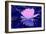 Pink Water Lily-Scott J. Davis-Framed Giclee Print