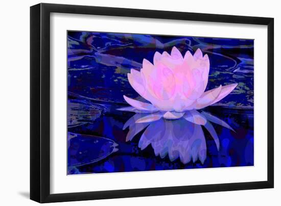 Pink Water Lily-Scott J. Davis-Framed Giclee Print