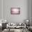 Pink Waters-Ursula Abresch-Framed Stretched Canvas displayed on a wall