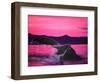 Pink Whale-Megan Aroon Duncanson-Framed Art Print