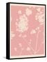 Pink Wildflower Silhouette I-Jacob Green-Framed Stretched Canvas