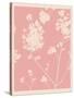 Pink Wildflower Silhouette I-Jacob Green-Stretched Canvas