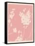 Pink Wildflower Silhouette II-Jacob Green-Framed Stretched Canvas