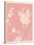 Pink Wildflower Silhouette II-Jacob Green-Stretched Canvas