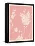 Pink Wildflower Silhouette II-Jacob Green-Framed Stretched Canvas