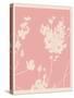 Pink Wildflower Silhouette II-Jacob Green-Stretched Canvas