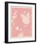 Pink Wildflower Silhouette II-Jacob Green-Framed Art Print