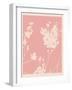 Pink Wildflower Silhouette II-Jacob Green-Framed Art Print