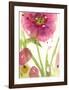 Pink Wildflower-Dawn Derman-Framed Art Print