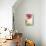 Pink Wildflower-Dawn Derman-Mounted Art Print displayed on a wall