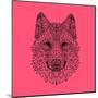 Pink Woolf-Lisa Kroll-Mounted Art Print