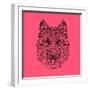 Pink Woolf-Lisa Kroll-Framed Art Print