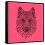 Pink Woolf-Lisa Kroll-Framed Stretched Canvas