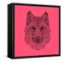 Pink Woolf-Lisa Kroll-Framed Stretched Canvas