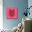 Pink Woolf-Lisa Kroll-Mounted Art Print displayed on a wall