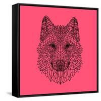 Pink Woolf-Lisa Kroll-Framed Stretched Canvas