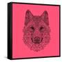 Pink Woolf-Lisa Kroll-Framed Stretched Canvas