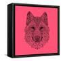 Pink Woolf-Lisa Kroll-Framed Stretched Canvas