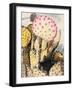 Pink Yellow Cactus II-Irena Orlov-Framed Photographic Print