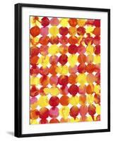 Pink Yellow Red Orange Flowing Paint-Amy Vangsgard-Framed Giclee Print