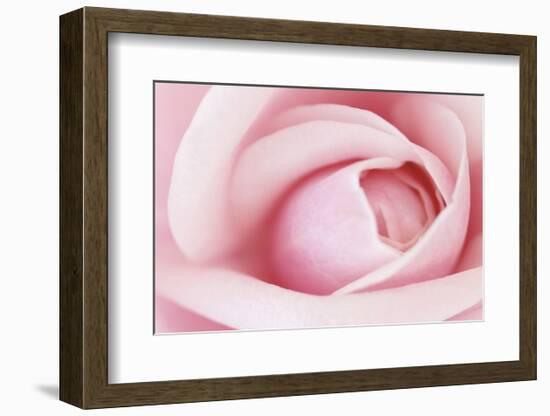 Pink-Brian Leighton-Framed Art Print