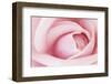 Pink-Brian Leighton-Framed Art Print