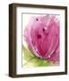 Pink-Dawn Derman-Framed Art Print