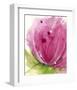 Pink-Dawn Derman-Framed Art Print