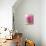 Pink-Dawn Derman-Mounted Art Print displayed on a wall