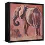 Pink-Mark Adlington-Framed Stretched Canvas