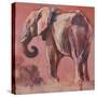 Pink-Mark Adlington-Stretched Canvas