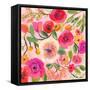 Pinkalicious-Suzanne Allard-Framed Stretched Canvas