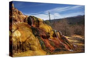 Pinkerton Hot Springs, Animas Valley-David Wall-Stretched Canvas