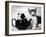 Pinkie the Guinea Pig and Perky the Kitten Tottenahm London, September 1978-null-Framed Premium Photographic Print