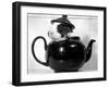 Pinkie the Guinea Pig Sitting in a Tea Pot-null-Framed Premium Photographic Print