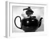 Pinkie the Guinea Pig Sitting in a Tea Pot-null-Framed Premium Photographic Print