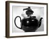 Pinkie the Guinea Pig Sitting in a Tea Pot-null-Framed Photographic Print