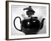 Pinkie the Guinea Pig Sitting in a Tea Pot-null-Framed Photographic Print