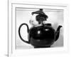 Pinkie the Guinea Pig Sitting in a Tea Pot-null-Framed Photographic Print