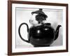 Pinkie the Guinea Pig Sitting in a Tea Pot-null-Framed Photographic Print