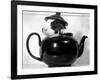 Pinkie the Guinea Pig Sitting in a Tea Pot-null-Framed Photographic Print